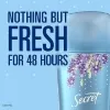 مزيل عرق سيكريت ستيك