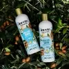 Inecto Natural Argan Shine Shampoo