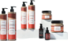 favelin moroccan argan repairing shampoo