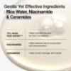anua rice daily glow duo