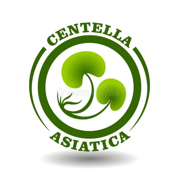 صورة الشركة سنتيلا