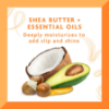 Cantu Coconut Curling Cream with Shea Butter, 25 fl oz